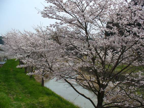 �R�~���j�e�B�[C&D�ւ�