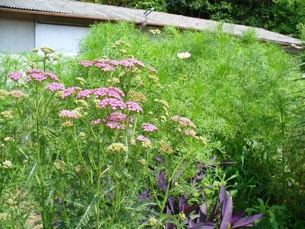 �R�~���j�e�B�[C&D�ւ�