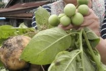 �R�~���j�e�B�[C&D�ւ�