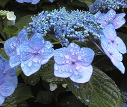 �R�~���j�e�B�[C&D�ւ�