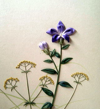 �R�~���j�e�B�[C&D�ւ�