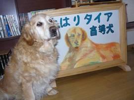 �R�~���j�e�B�[C&D�ւ�