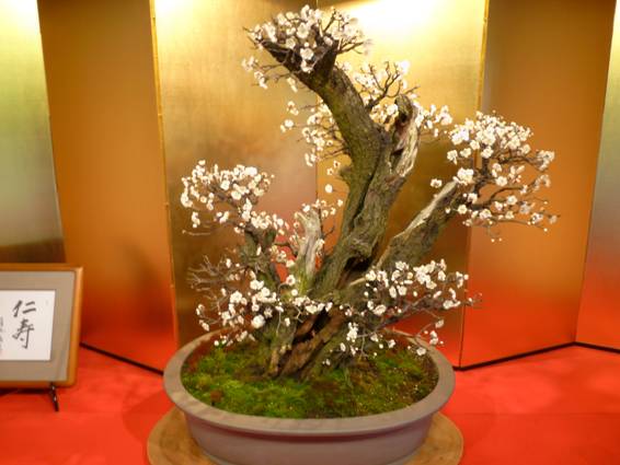 �R�~���j�e�B�[C&D�ւ�