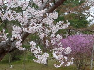 �R�~���j�e�B�[C&D�ւ�