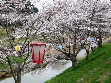 �R�~���j�e�B�[C&D�ւ�