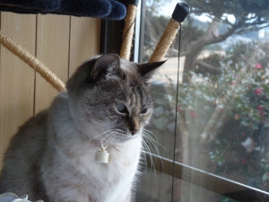 �R�~���j�e�B�[C&D�ւ�