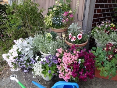 �R�~���j�e�B�[C&D�ւ�