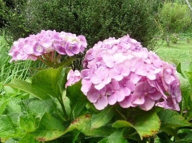 �R�~���j�e�B�[C&D�ւ�