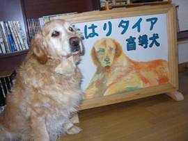 �R�~���j�e�B�[C&D�ւ�