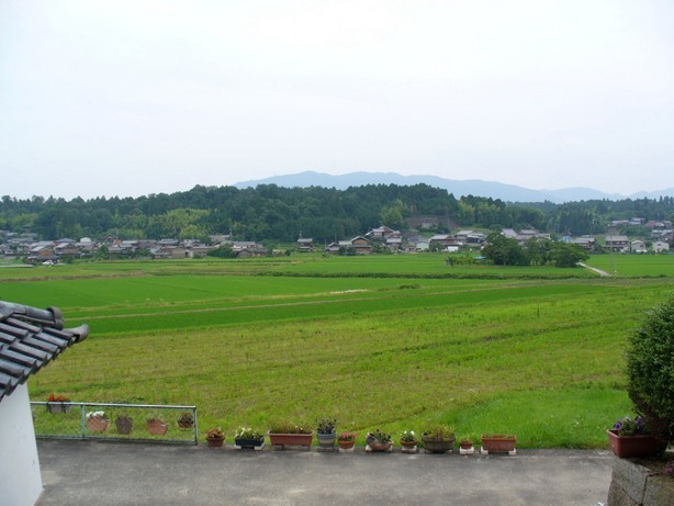 �R�~���j�e�B�[C&D�ւ�