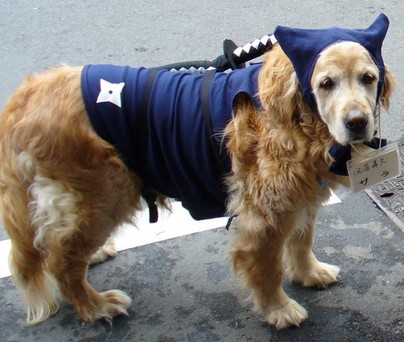 �R�~���j�e�B�[C&D�ւ�