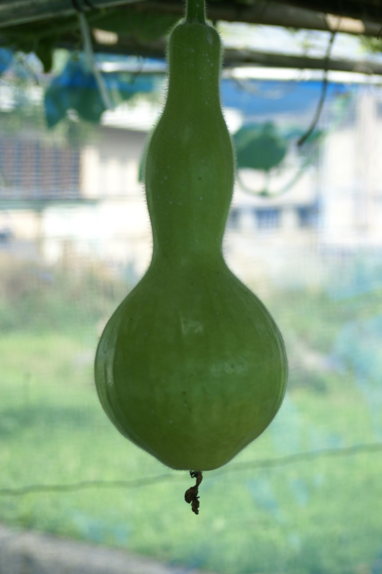 biogarden