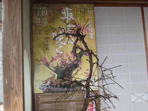 �`���`��������