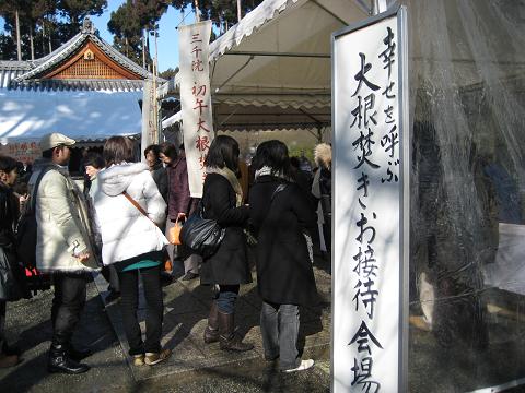 �`���`��������