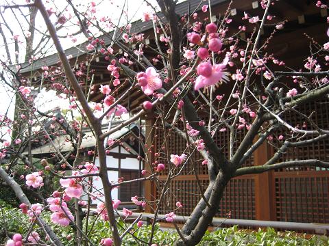 �`���`��������