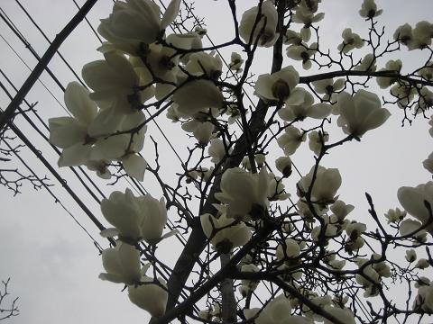 �`���`��������