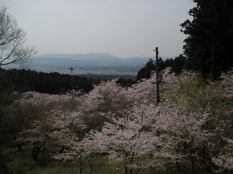 �`���`��������