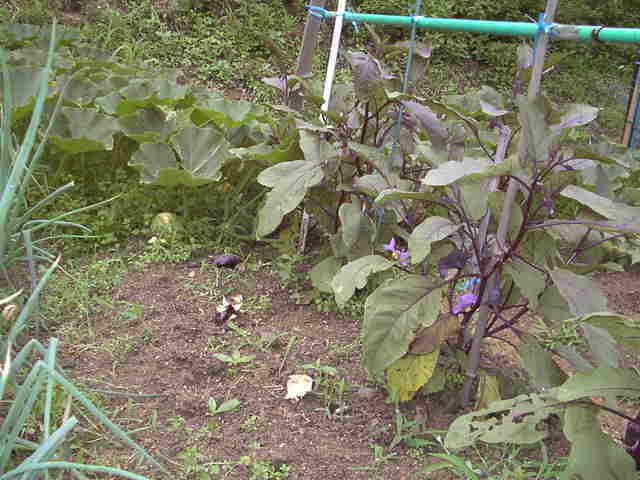 �`���`��������