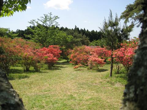 �`���`��������