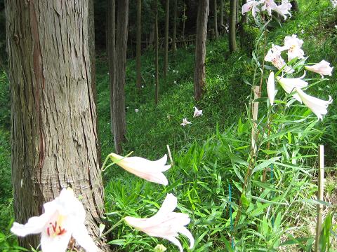 �`���`��������