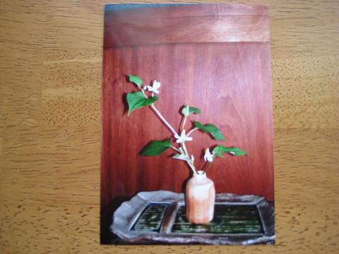 �`���`��������