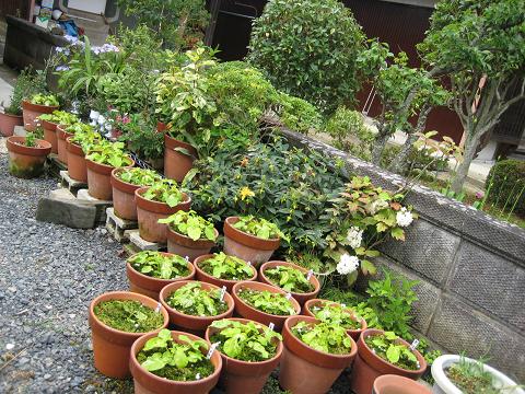 �`���`��������