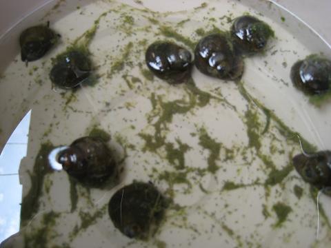 �`���`��������