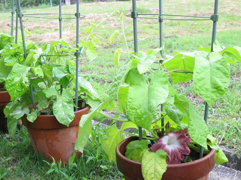 �`���`��������