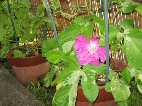 �`���`��������