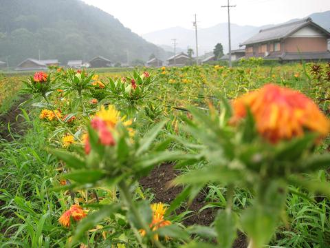 �`���`��������