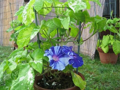 �`���`��������