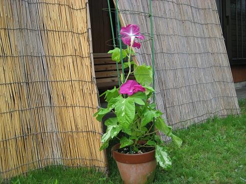 �`���`��������