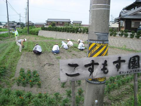 �`���`��������