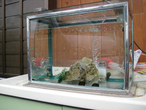 �`���`��������