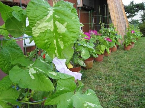 �`���`��������