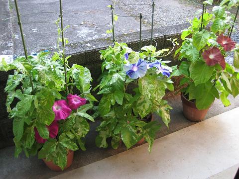 �`���`��������