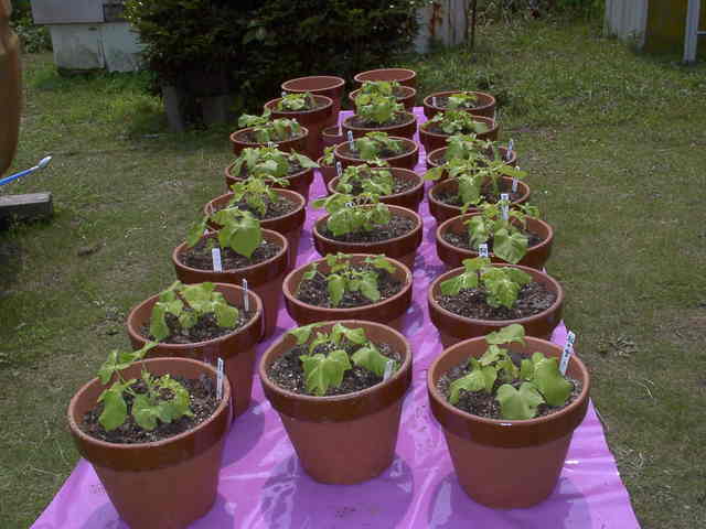 �`���`��������