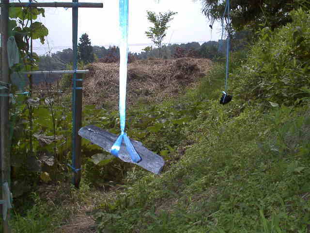 �`���`��������