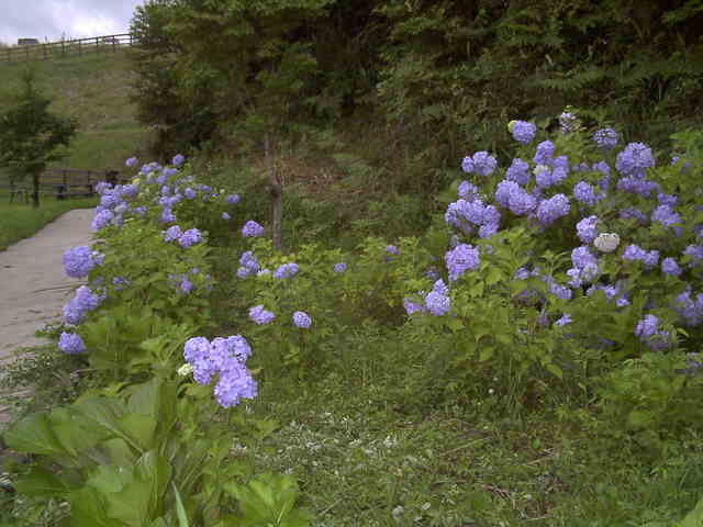 �`���`��������