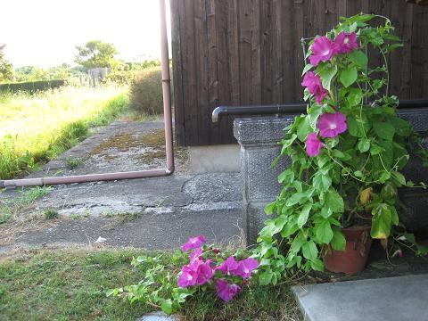 �`���`��������