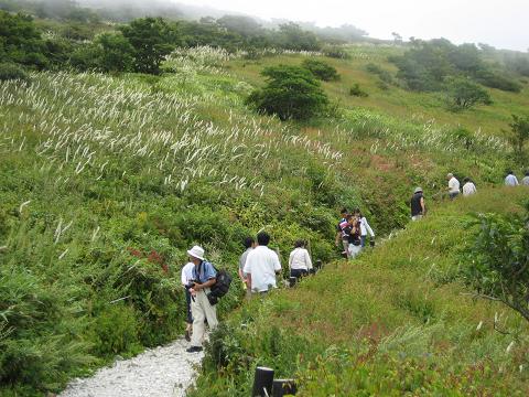 �`���`��������