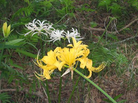 �`���`��������