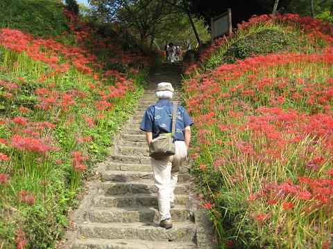 �`���`��������