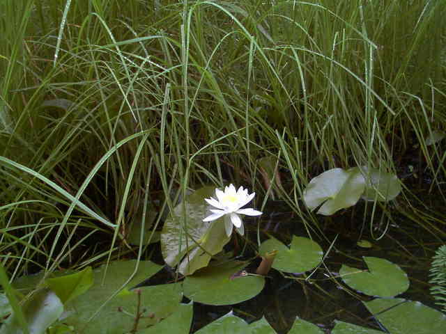 �`���`��������