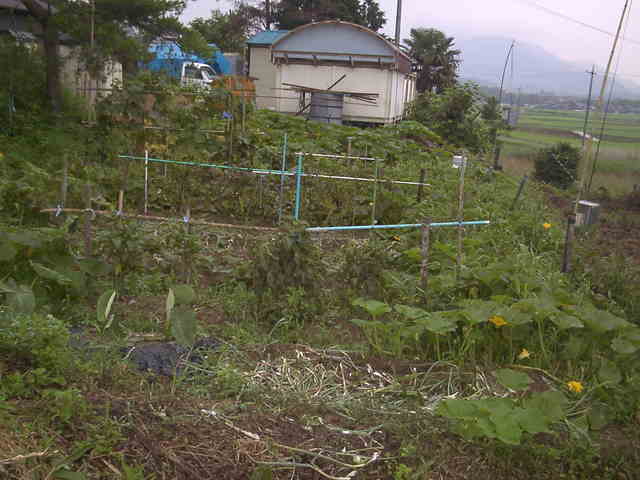 �`���`��������