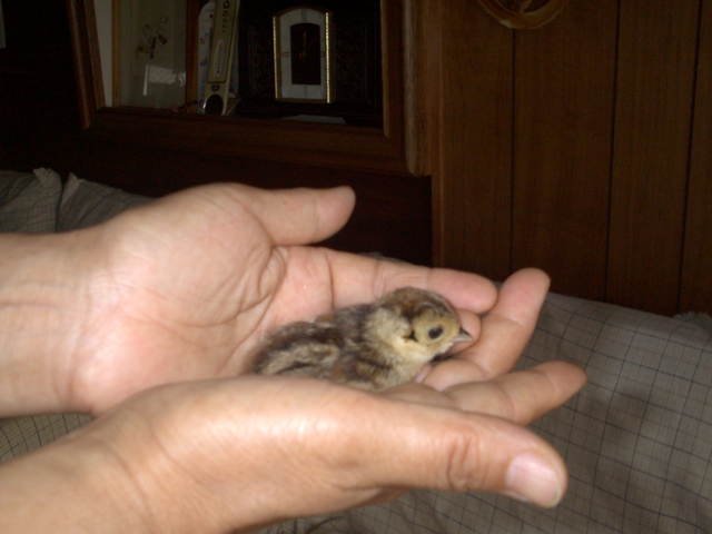 �`���`��������