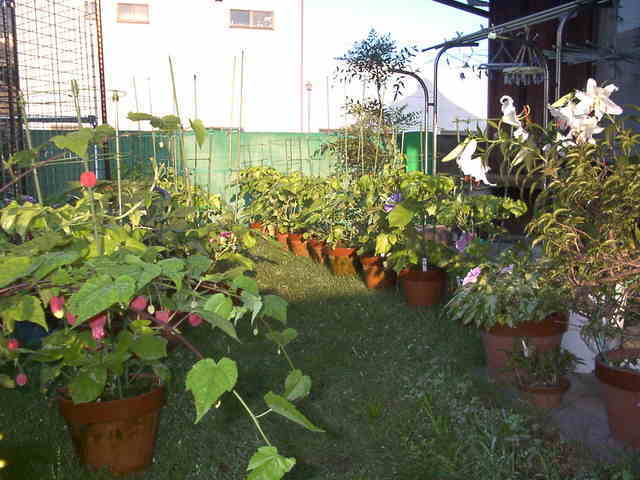 �`���`��������