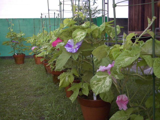 �`���`��������