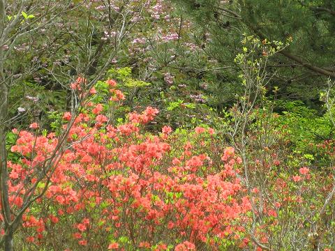 �`���`��������