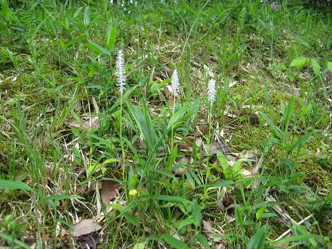 �`���`��������